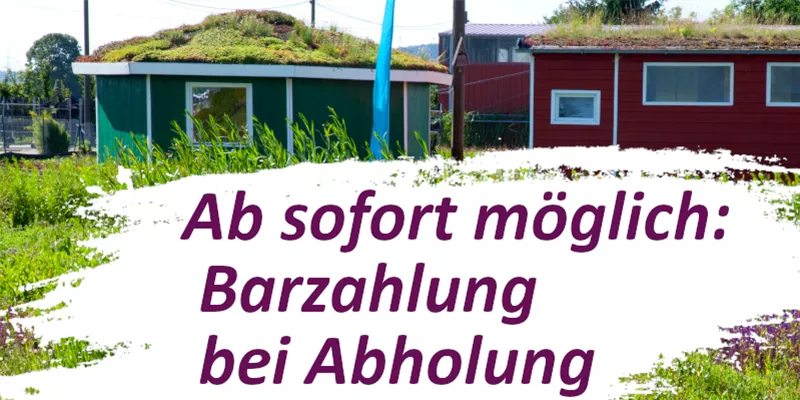 Bamberger Staudengarten Strobler größte Staudengärtnerei in Bayern