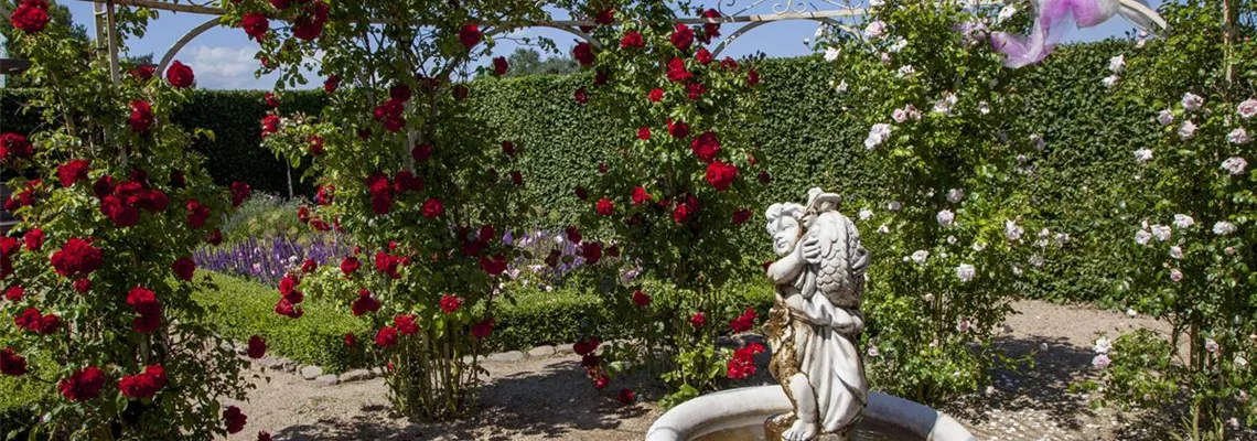 Wunderschne Bamberger Staudengarten Shop Bilder