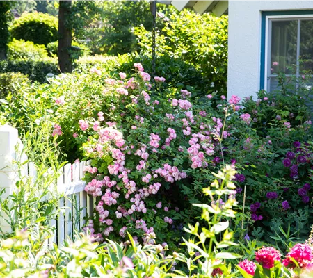 Gartengestaltung – Ideen für den eigenen Garten