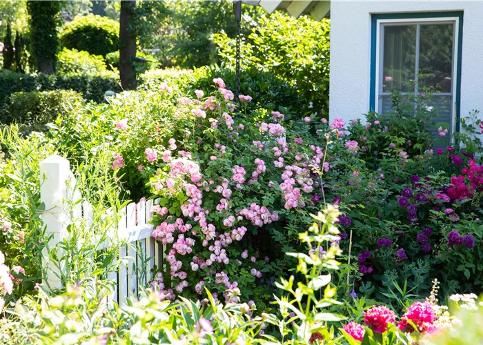 Gartengestaltung – Ideen für den eigenen Garten