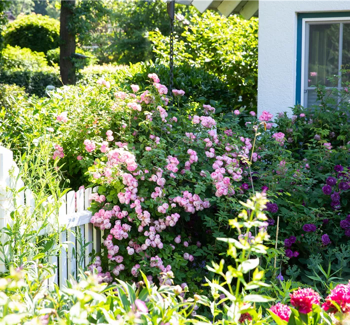 Gartengestaltung – Ideen für den eigenen Garten