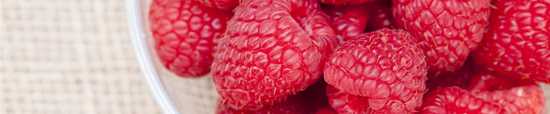 Rubus idaeus