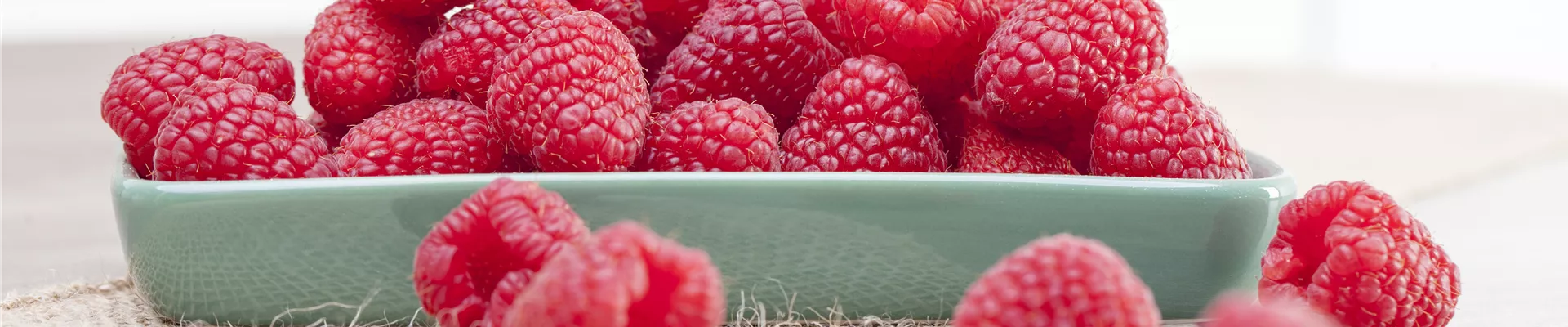 Rubus idaeus