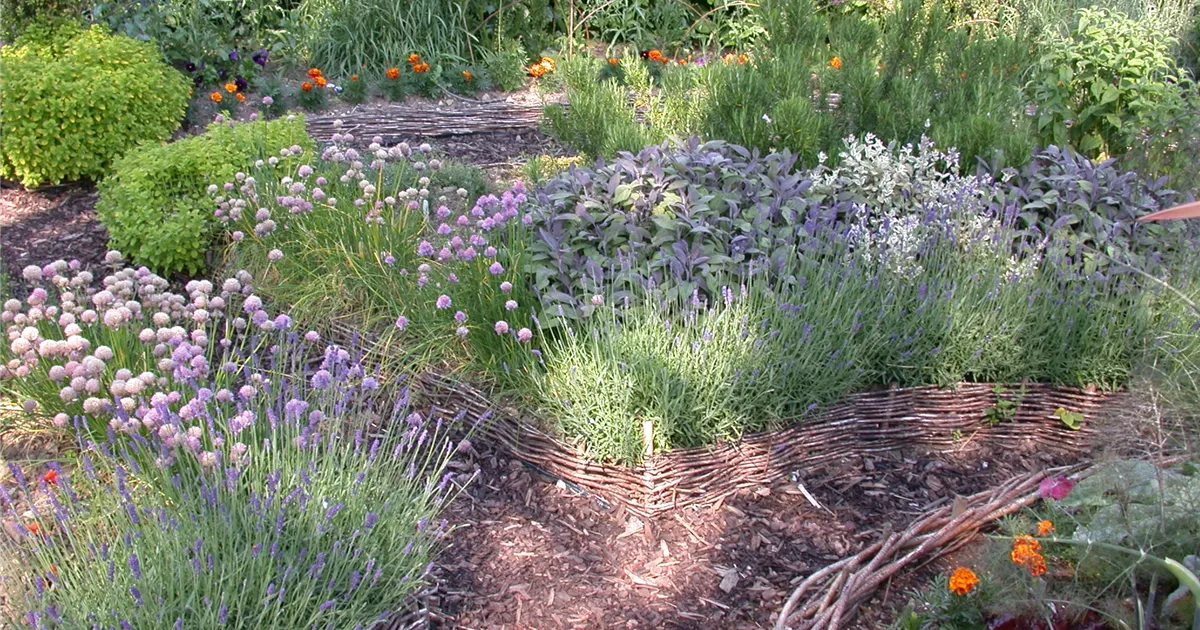 Wunderschne Bamberger Staudengarten Shop Bilder