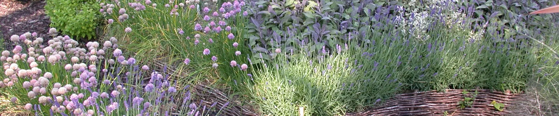 Kräutergarten