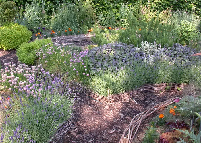 Kräuterpaket 'Deluxe'