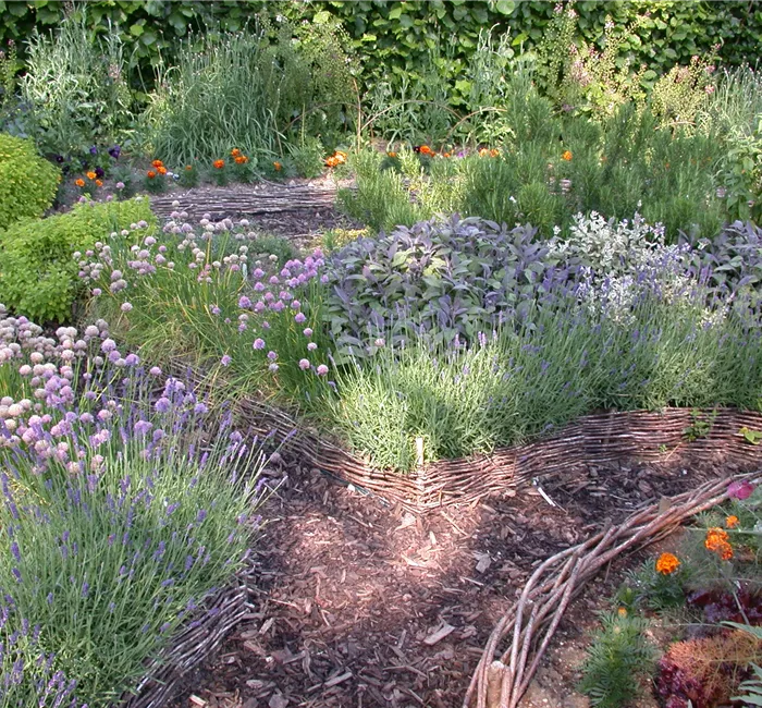 Kräuterpaket 'Deluxe'