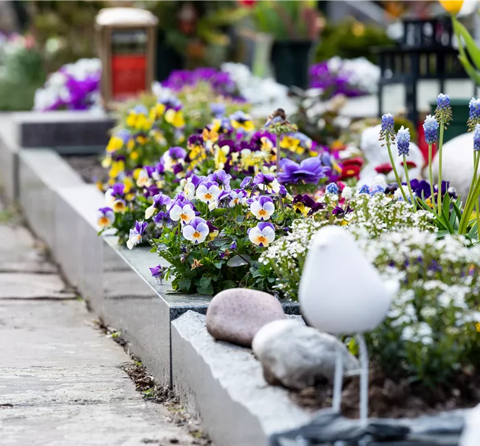 Eine ganzjährige Grabbepflanzung für ein stilvolles Andenken
