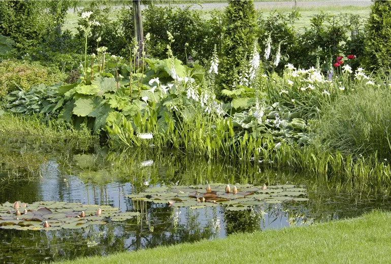 Gartenansicht mit Teich