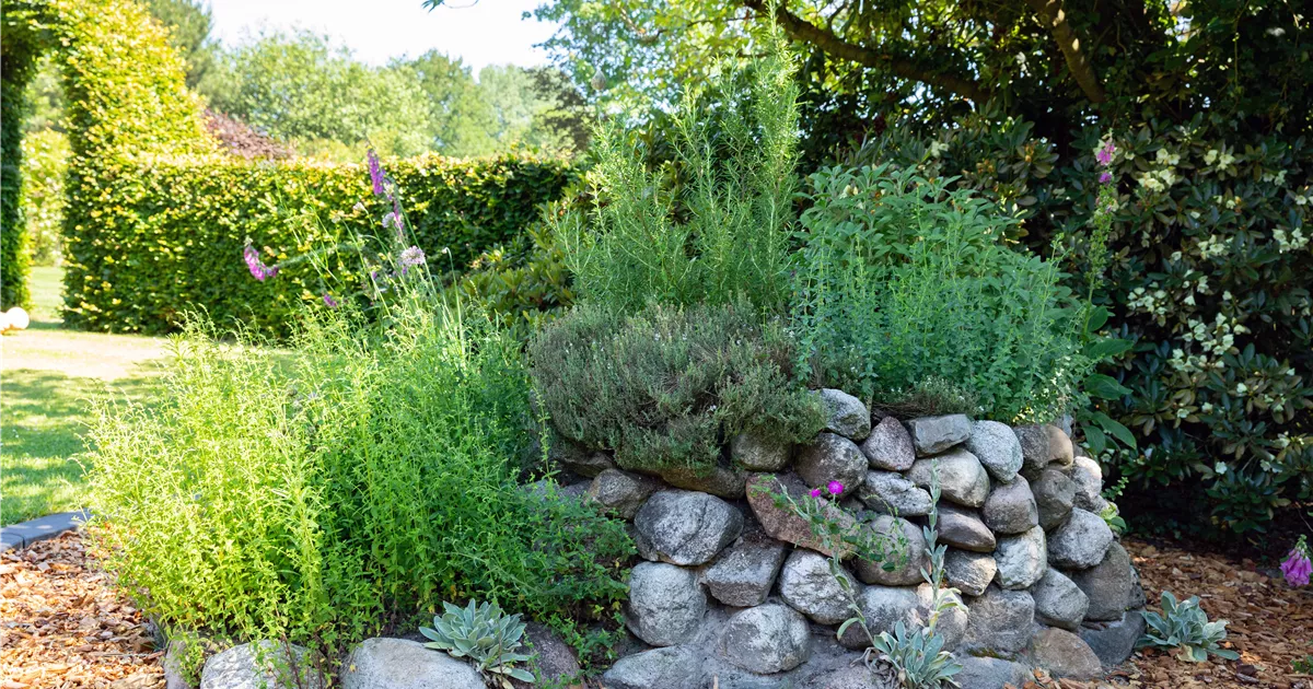 Wunderschne Bamberger Staudengarten Shop Bilder