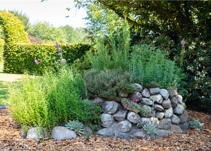 Kräuterpaket 'Classic'