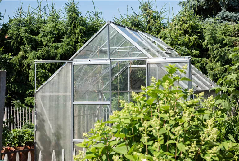 Gewächshaus