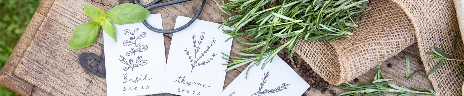 Kräutersamen und Kräuter