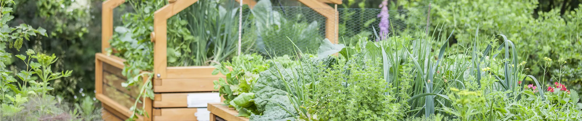 Hochbeet Kräuter
