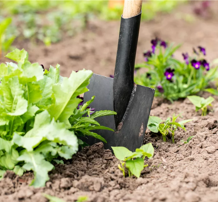 Hilfreiches und praktisches Zubehör zum Gärtnern