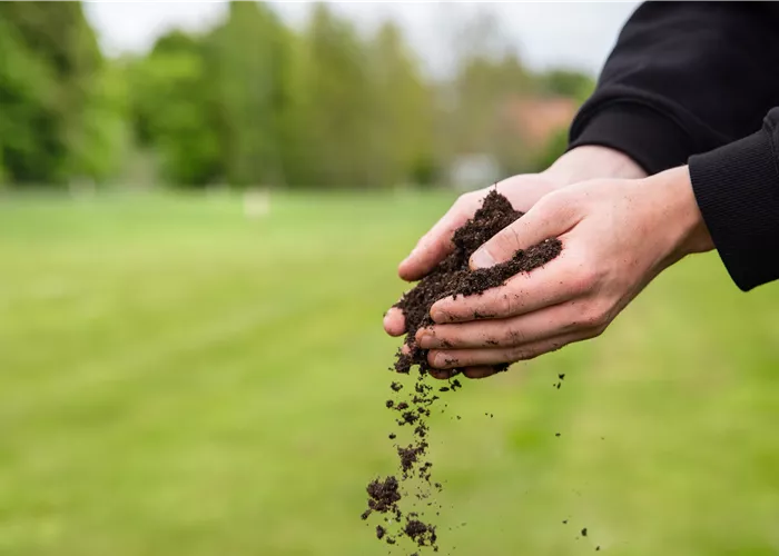 Der Gartenboden: Bodenarten und was sie bedeuten