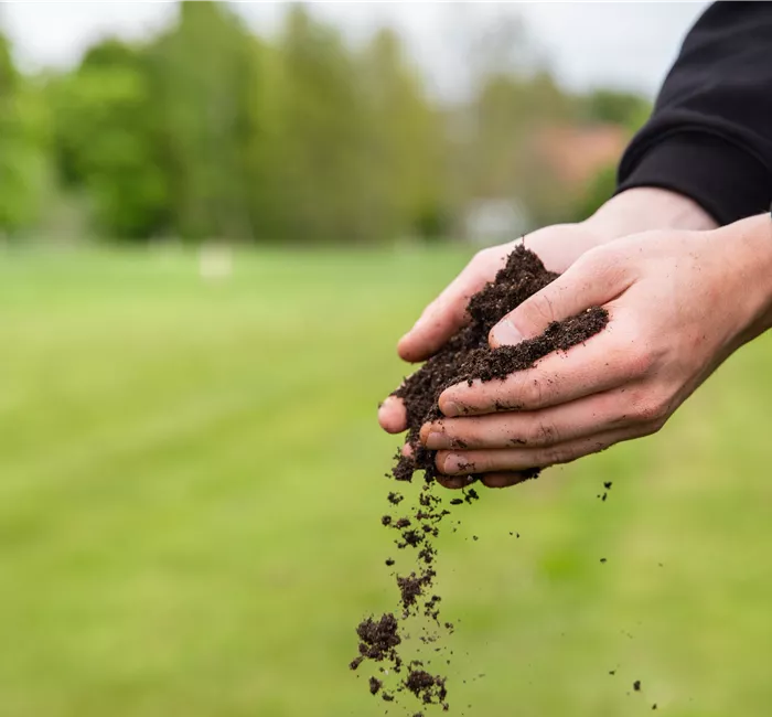 Der Gartenboden: Bodenarten und was sie bedeuten