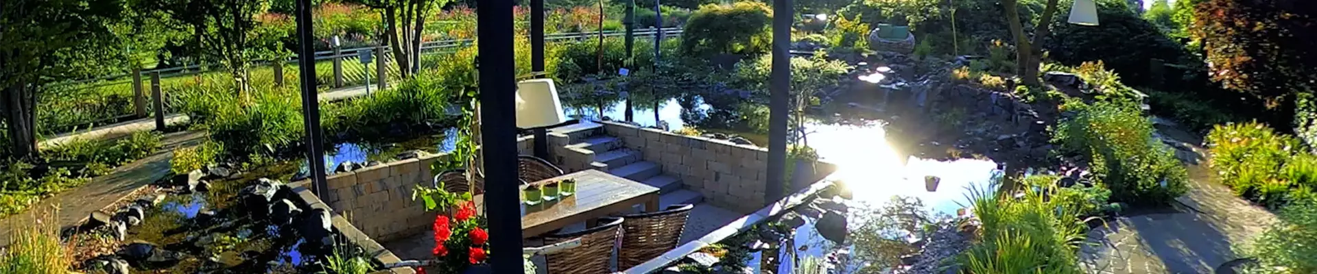 Gartengestaltung - Wassergarten (Thumbnail)