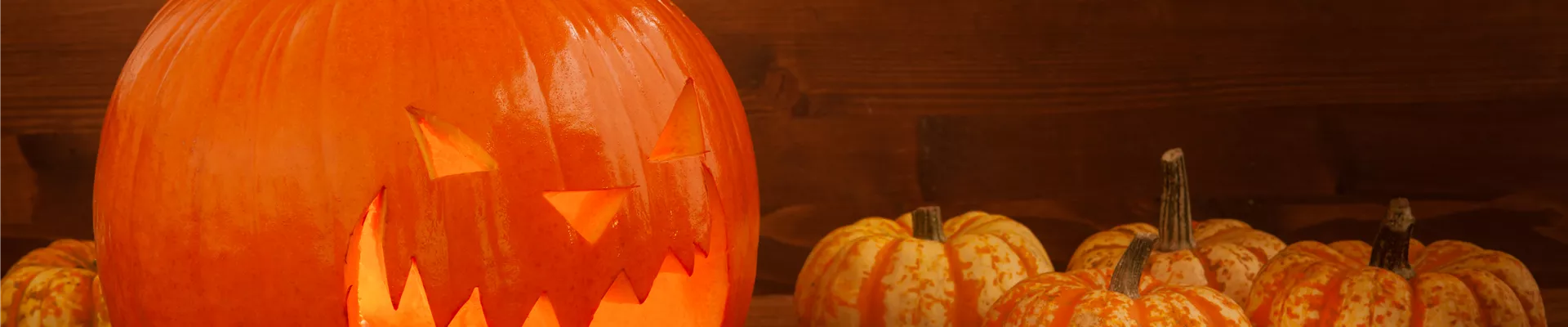 Halloween Kürbis