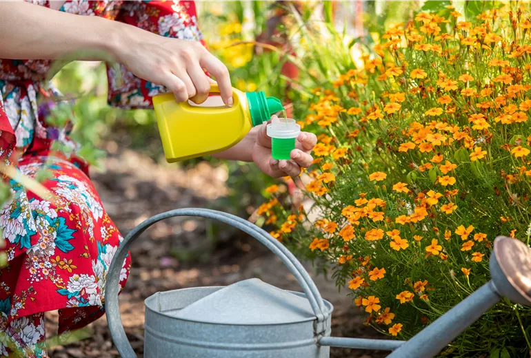 Dünger - Zitrusdünger