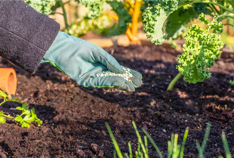 Dünger ausbringen