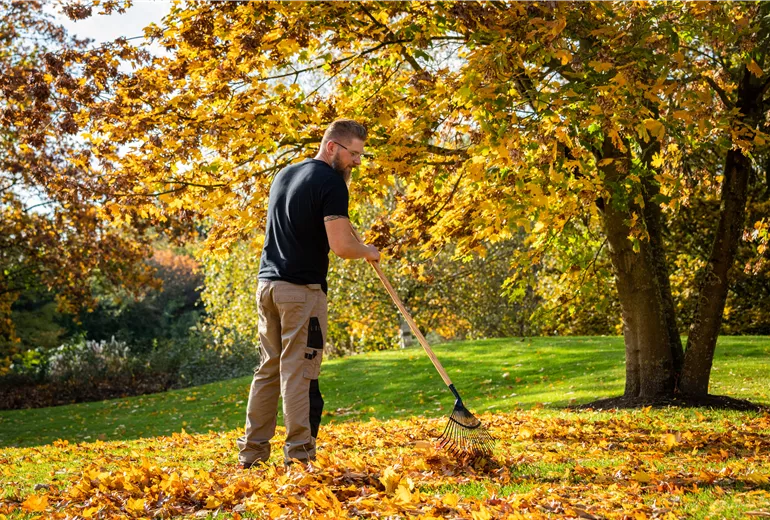 Gartengeräte - Mann harkt Laub
