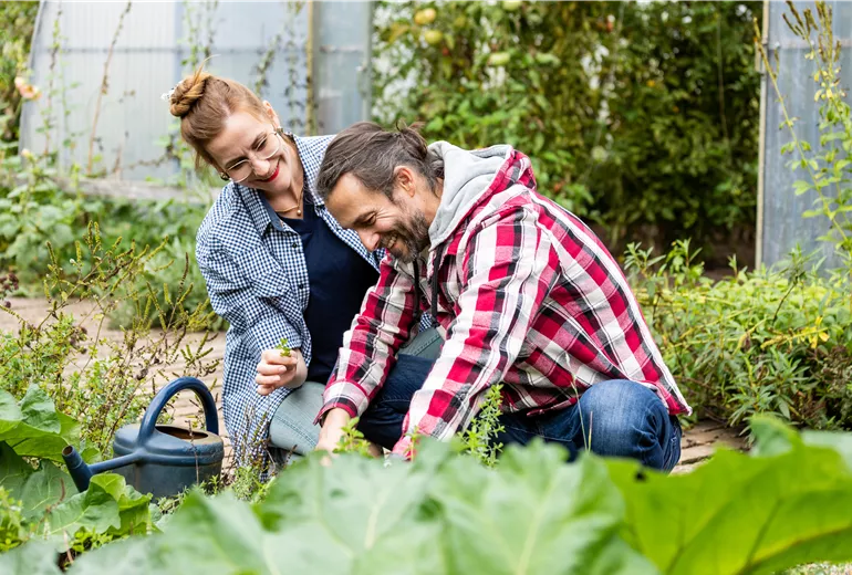 Gartenarbeit im Herbst