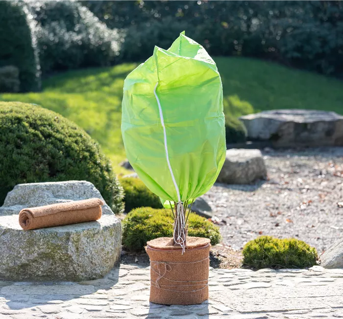 Gartenarbeit im Dezember – Hier ist mehr los als gedacht