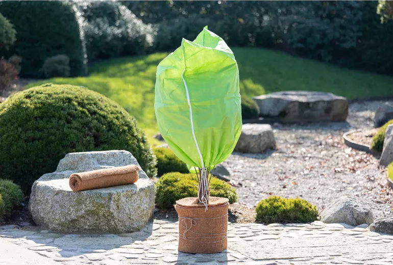 Überwinterung - Pflanzensack und Kokosmatte