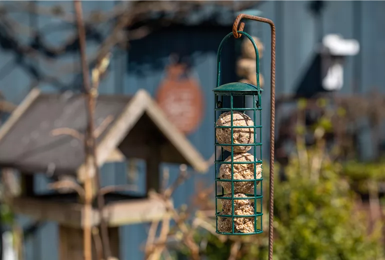 Vogelfutter und Vogelhaus