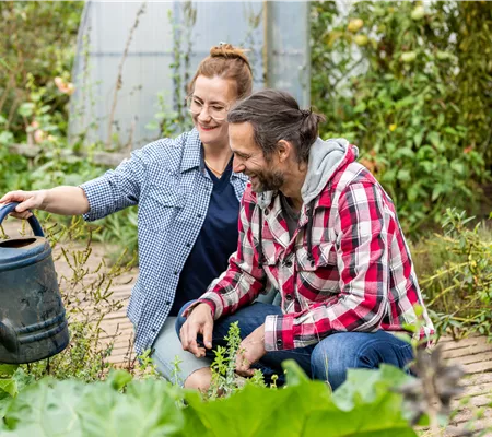 Der ultimative Gartenkalender für alle Gartenfreunde