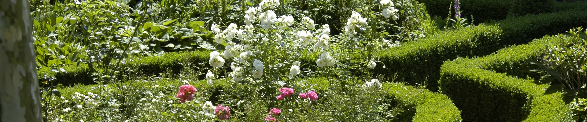 Bauerngarten