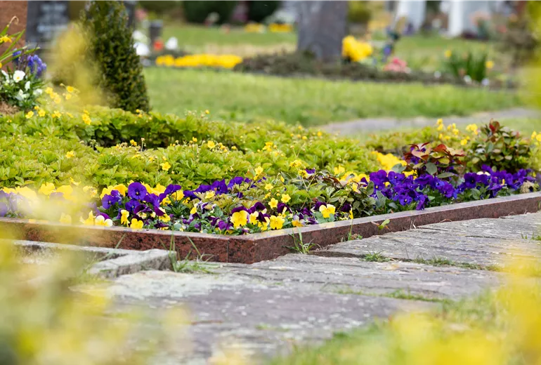 Grabgestaltung - Bepflanzung