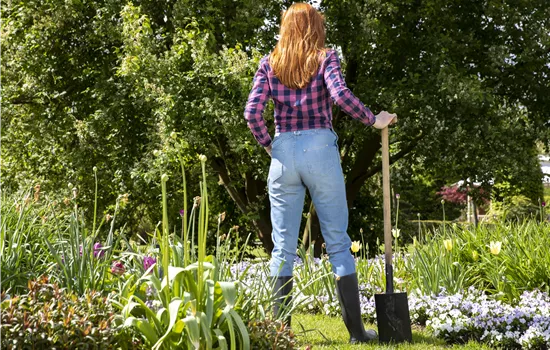 Gartenarbeit im April: Ein Schritt in Richtung blühender Garten
