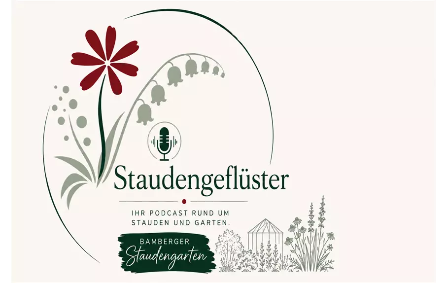 StaudenGfluester_1536x1024_final.png StaudenGfluester_1536x1024_final.png