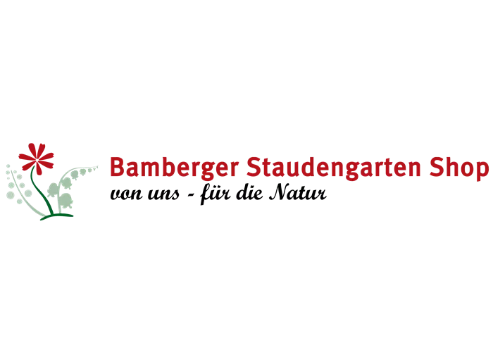 Gelbblühender Hänge-Lauch  Gelbblühender Hänge-Lauch