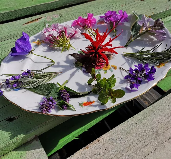 Blumige Köstlichkeiten 