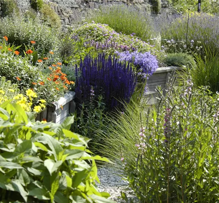 Das Staudenbeet – ein Blütenmeer im Garten