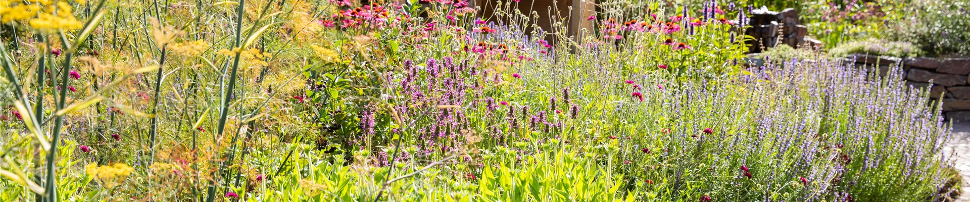 Beet mit Stauden Beet mit Stauden