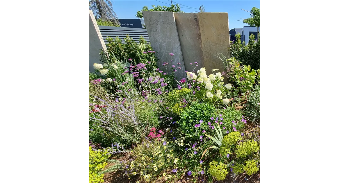 Wunderschne Bamberger Staudengarten Shop Bilder