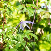 GS672121.jpg
